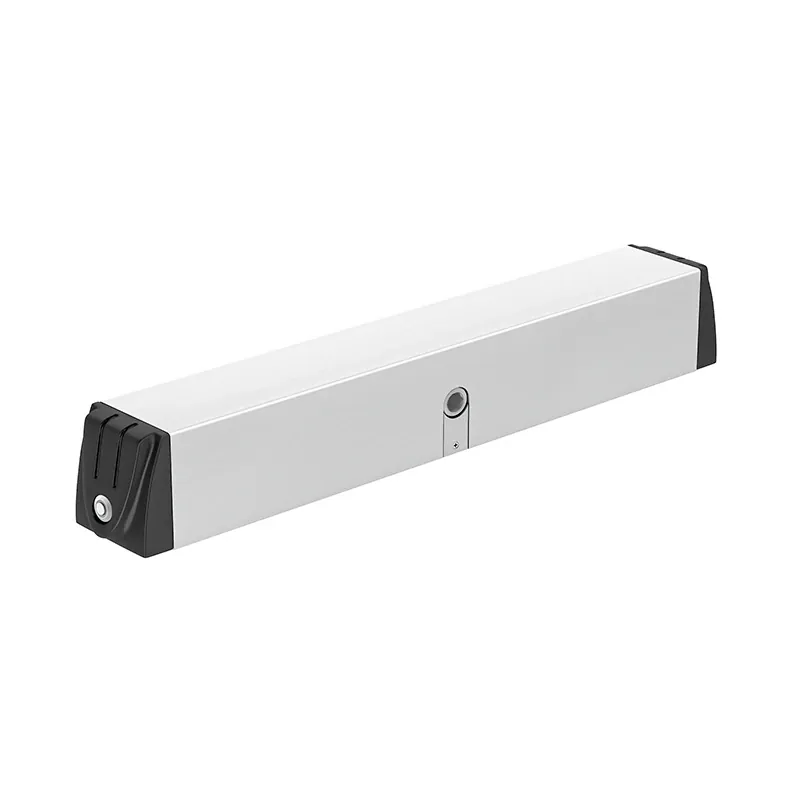 Door closer PM80A