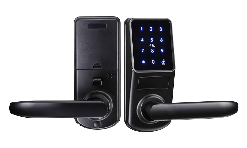 Access control unit A290P