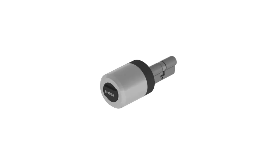 Desi smart lock