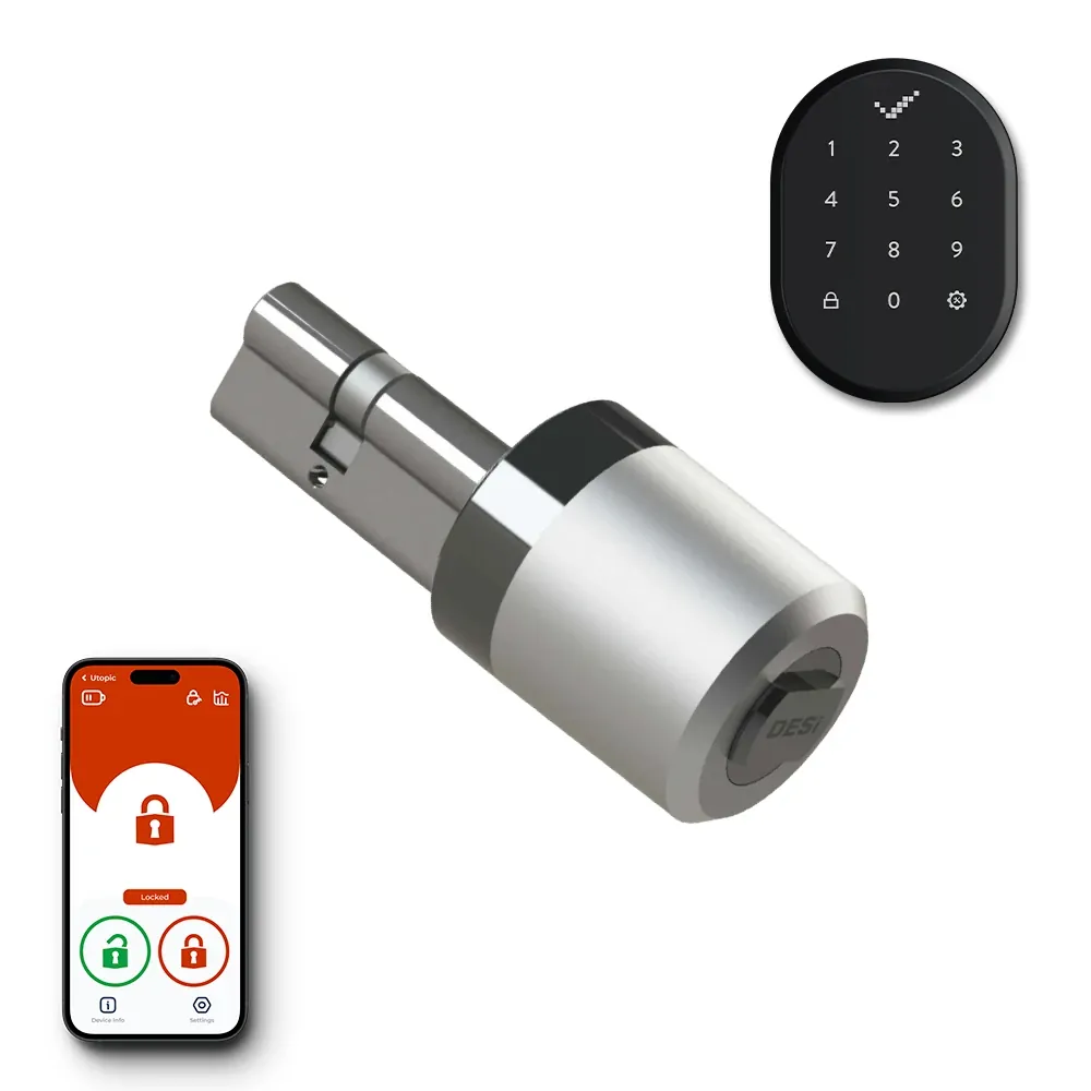 Desi smart lock