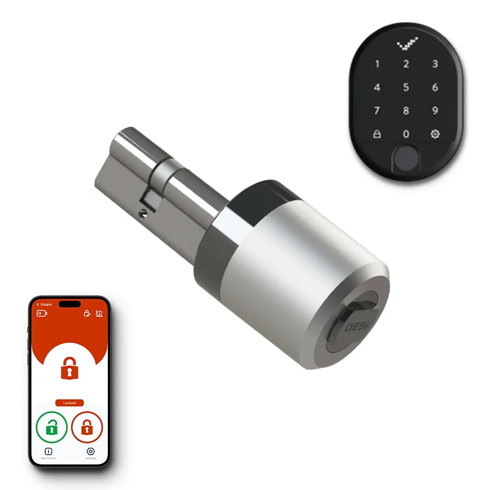 Desi smart lock