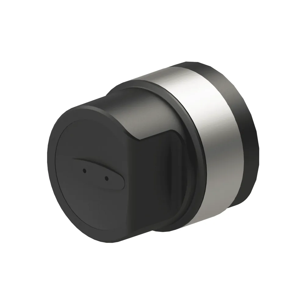 DESi Utopic RX AI Powered Smart Lock