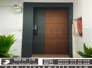 double colour steel door